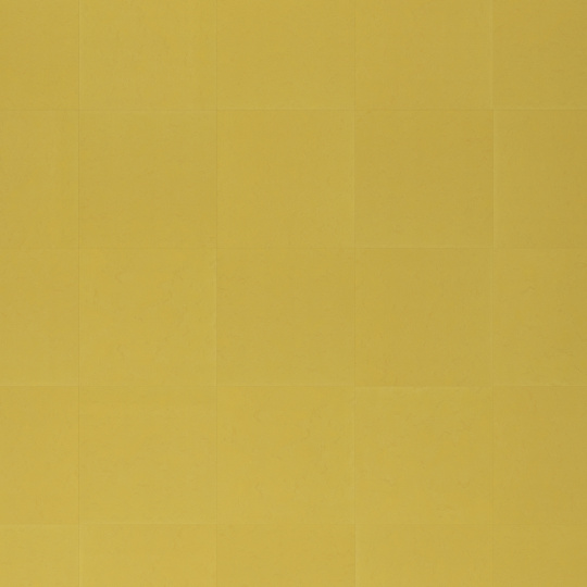 Линолеум модульный Marmoleum MODULAR COLOUR Yellow moss t3362 шириной  м