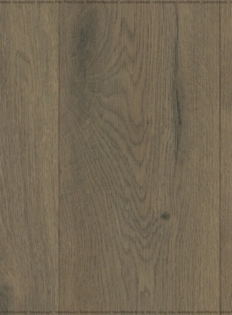 Ламинат FloorBee COSTA  Коста Валенсия