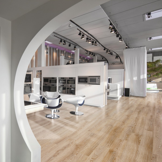 Кварцвиниловая плитка (LVT) Moduleo PRIMERO  Evergreen Oak 22837