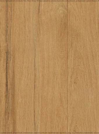 Виниловый ламинат (SPC) Dolce Flooring TETRO Дуб Медовый