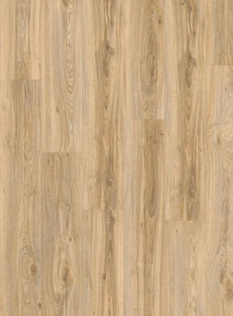 Кварц-винил (LVT) Moduleo TRANSFORM  Blackjack Oak 22220