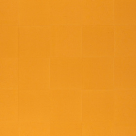 Линолеум модульный Marmoleum MODULAR COLOUR Pumpkin Yellow шириной  м