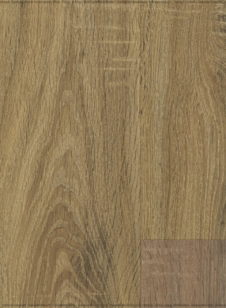 Ламинат WoodStyle PRONTO  Дуб Орвието