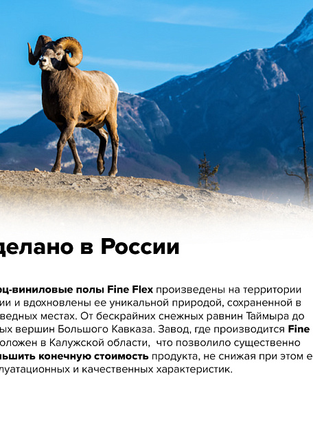 Кварц-винил (LVT) Fine Flex FX-STONE  Безенги