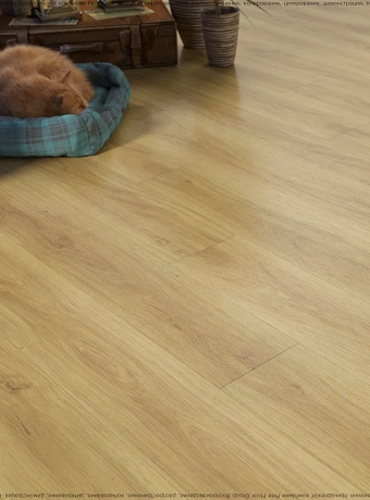 Кварц-винил (LVT) Fine Floor FF-WOOD Дуб Орхус