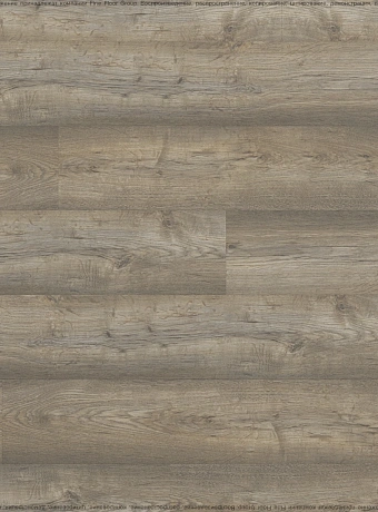Ламинат Kastamonu Floorpan LAGOON  Вяз Марсель