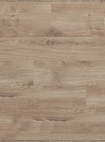 Ламинат Swiss Krono GROTESK  Дуб Дженнаро