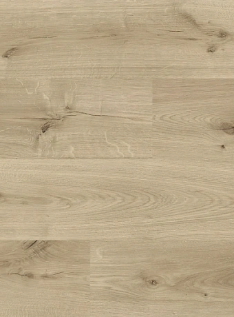 Ламинат Cuberta FAMILY  Дуб Беверли