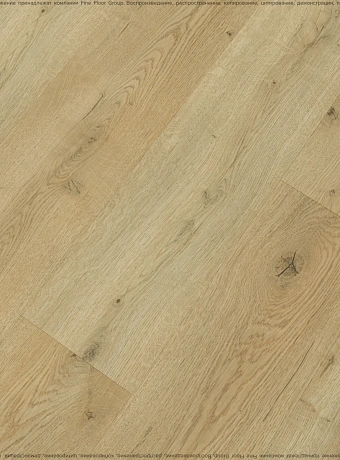 Ламинат Kastamonu Sunfloor 8-32 Дуб Вермонт