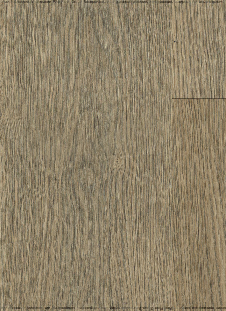 Ламинат Swiss Krono GROTESK  Дуб Тёрнер>