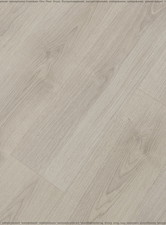 Ламинат WoodStyle VIVA 2021  Дуб Астина Светлый