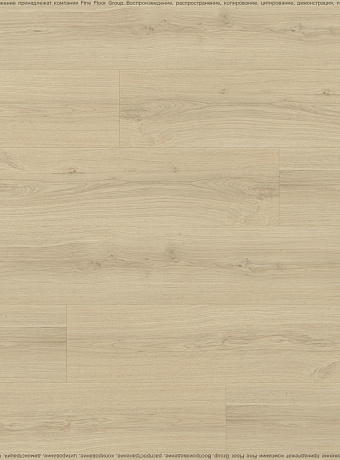 Ламинат Eversense CLASSIC  Дуб Падуа Светлый