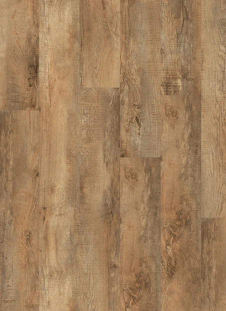 Кварц-винил (LVT) Moduleo ROOTS 55 EIR Дуб Кантри (Country Oak 54852Q)>