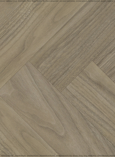 Ламинат CBM KORUNA  Орех Янова