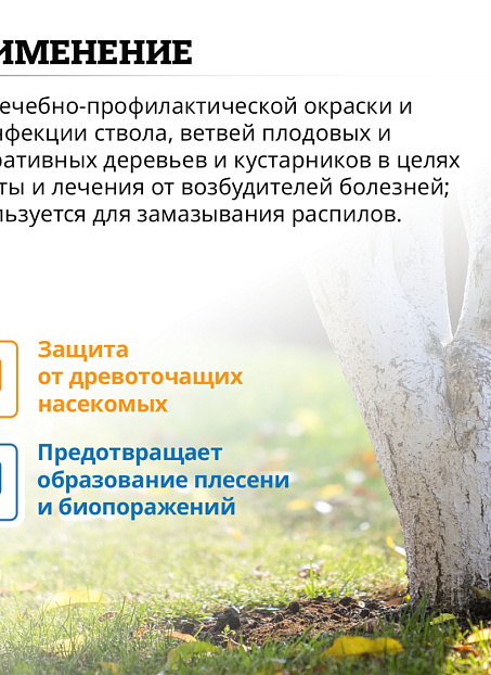 Краска Goldbastik BT10-3,4