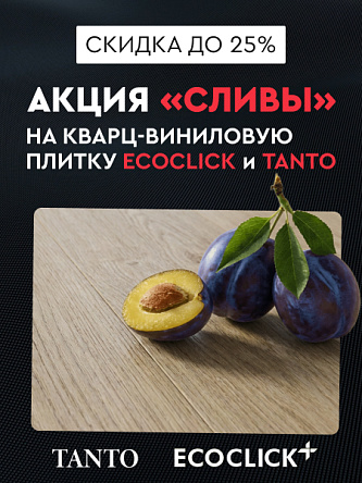 Сливы VKVADRATE