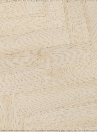 Ламинат CBM KORUNA  Орех Бьянко