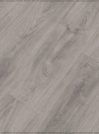 Ламинат WoodStyle VIVA 2021  Дуб Тривенто Серый