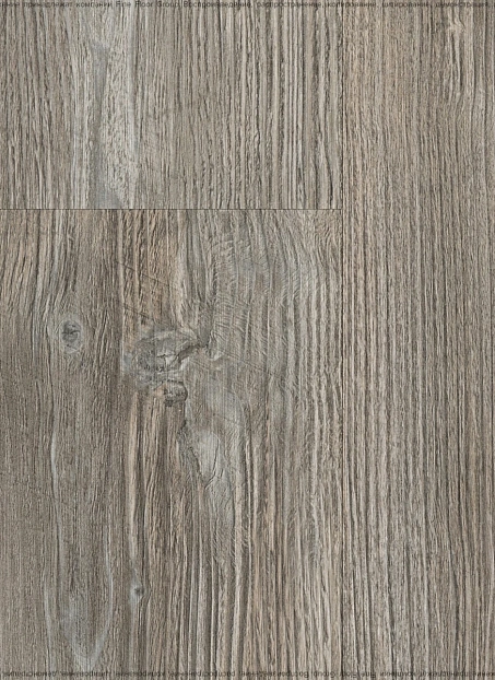 Ламинат Latat ЭЛЕГАНТ 10 (ELEGANTE 10) Дуб Уил>