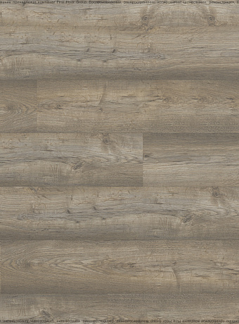 Ламинат Kastamonu Floorpan LAGOON  Вяз Марсель