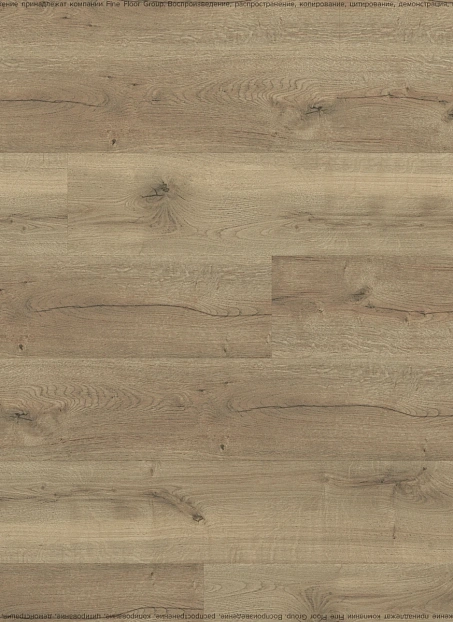 Ламинат Kastamonu Floorpan LAGOON Дуб Гаэль