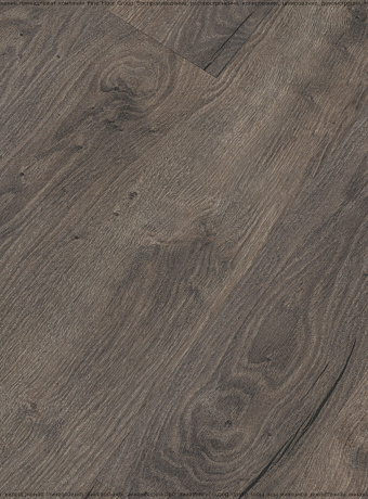 Ламинат Kastamonu Floorpan MARSALA  Дуб Сабах