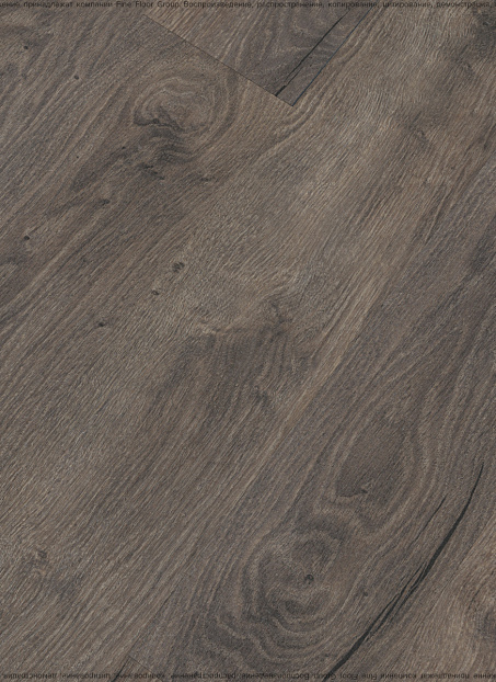 Ламинат Kastamonu Floorpan MARSALA  Дуб Сабах