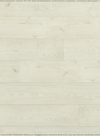 Виниловый ламинат (SPC) Respect FLOOR Дуб Морозный