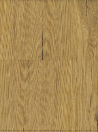 Ламинат Eversense CLASSIC  Дуб Вирдиа Натуральный