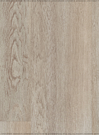 Ламинат Kastamonu Sunfloor 12-33  Дуб Тенерифе