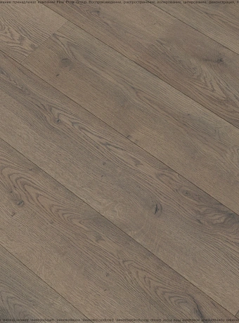 Ламинат Floorwood DREAM  Дуб Аспен