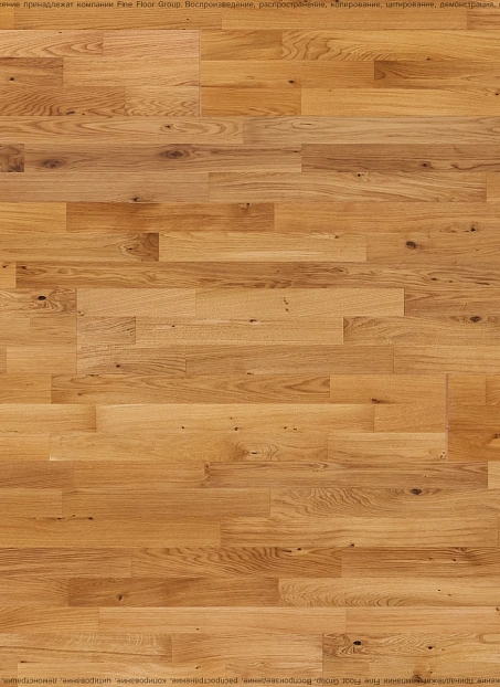 Паркетная доска Polarwood CLASSIC Дуб Нэйтив (Oak Native Loc) COUNTRY 3S LAC MAT