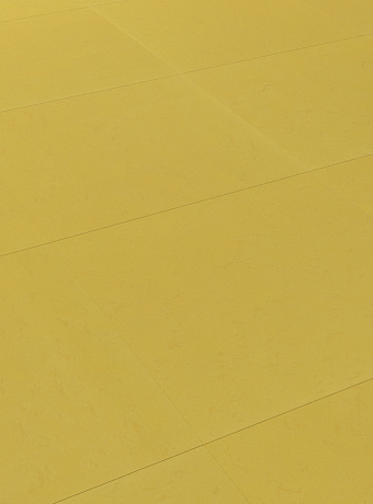 Линолеум модульный Marmoleum MODULAR COLOUR Yellow Moss t3362 шириной  м