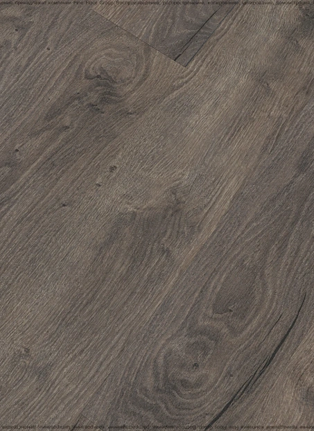 Ламинат Kastamonu Floorpan MARSALA  Дуб Сабах