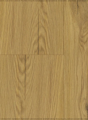Ламинат Eversense CLASSIC Дуб Вирдиа Натуральный