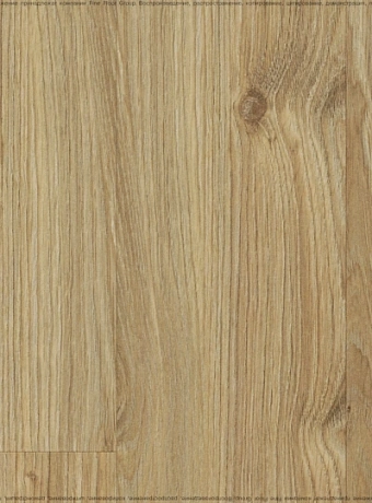 Ламинат Kastamonu Sunfloor 12-33  Дуб Самора