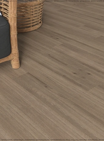 Ламинат Ideal CHOICE  Дуб Футурис