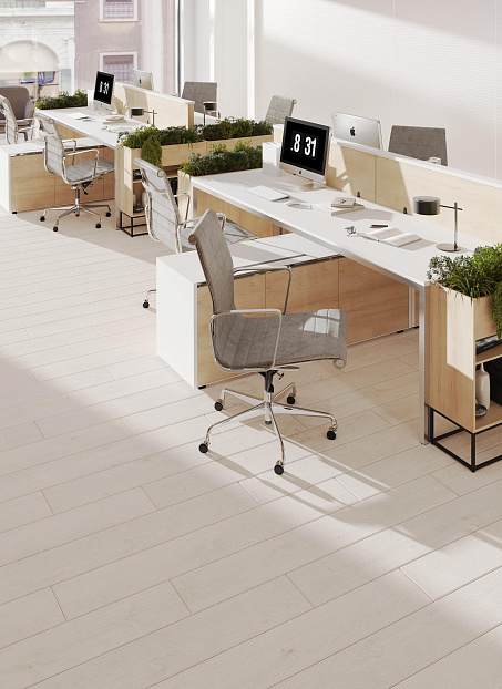 Ламинат Egger PRO Classic 8-33 Дуб Ньюбери Белый