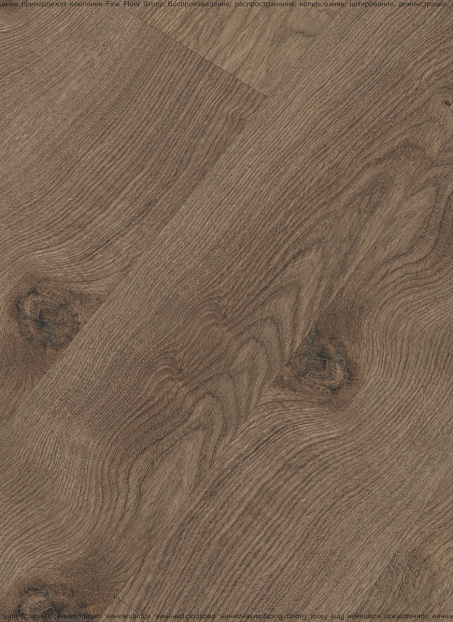 Ламинат Kastamonu Floorpan MARSALA  Дуб Реданг