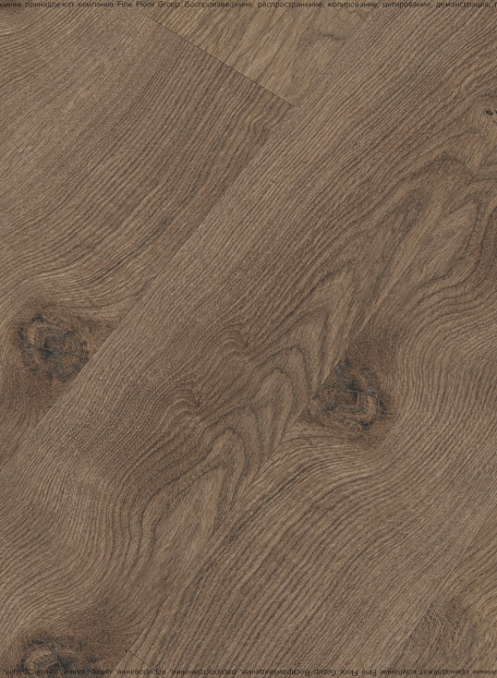 Ламинат Kastamonu Floorpan MARSALA  Дуб Реданг