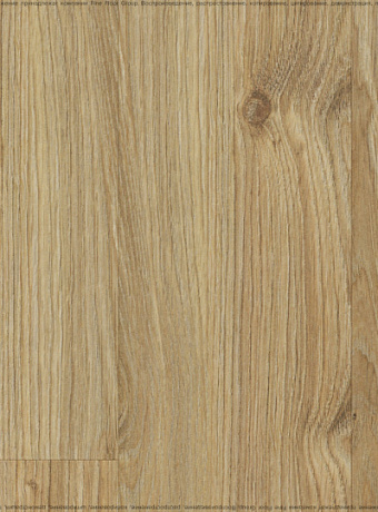 Ламинат Kastamonu Sunfloor 12-33  Дуб Самора