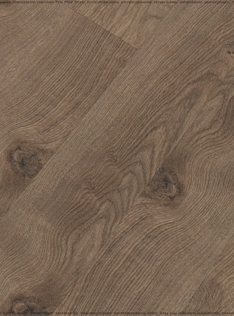 Ламинат Kastamonu Floorpan MARSALA  Дуб Реданг