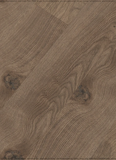 Ламинат Kastamonu Floorpan MARSALA  Дуб Реданг