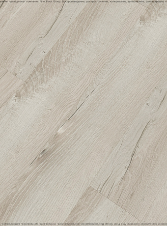 Ламинат Kastamonu Sunfloor 12-33  Дуб Ривьера