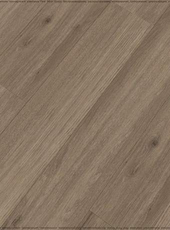 Ламинат Ideal CHOICE  Дуб Футурис