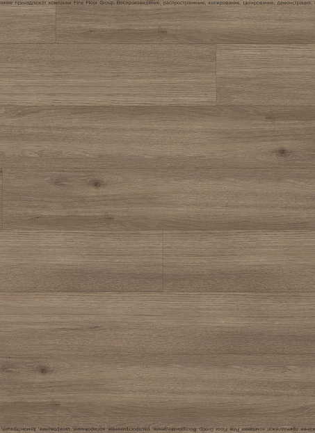 Ламинат Ideal CHOICE  Дуб Футурис