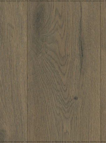 Ламинат FloorBee COSTA  Коста Валенсия