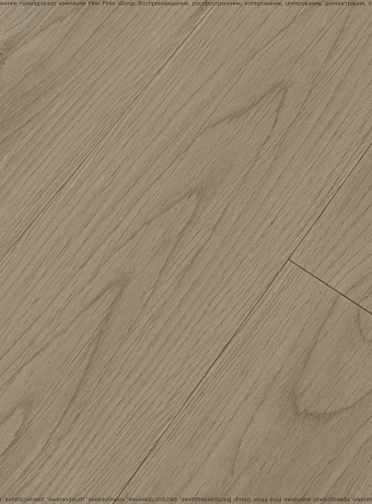 Виниловый ламинат (SPC) FloorBee OPTIMA Дуб Бенжамин