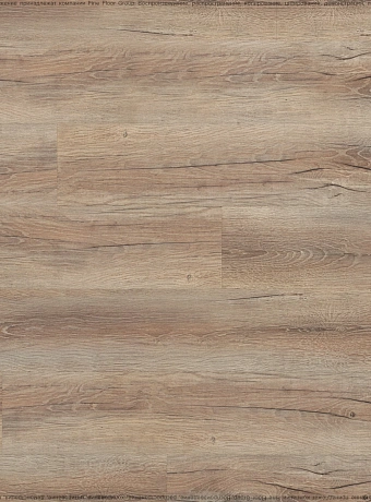 Ламинат Kastamonu Floorpan LAGOON  Сосна Марсала