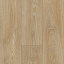 V9050.247KT34P400 Линолеум CENTRA ALLURE T34 4 м